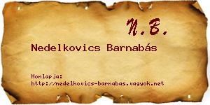 Nedelkovics Barnabás névjegykártya